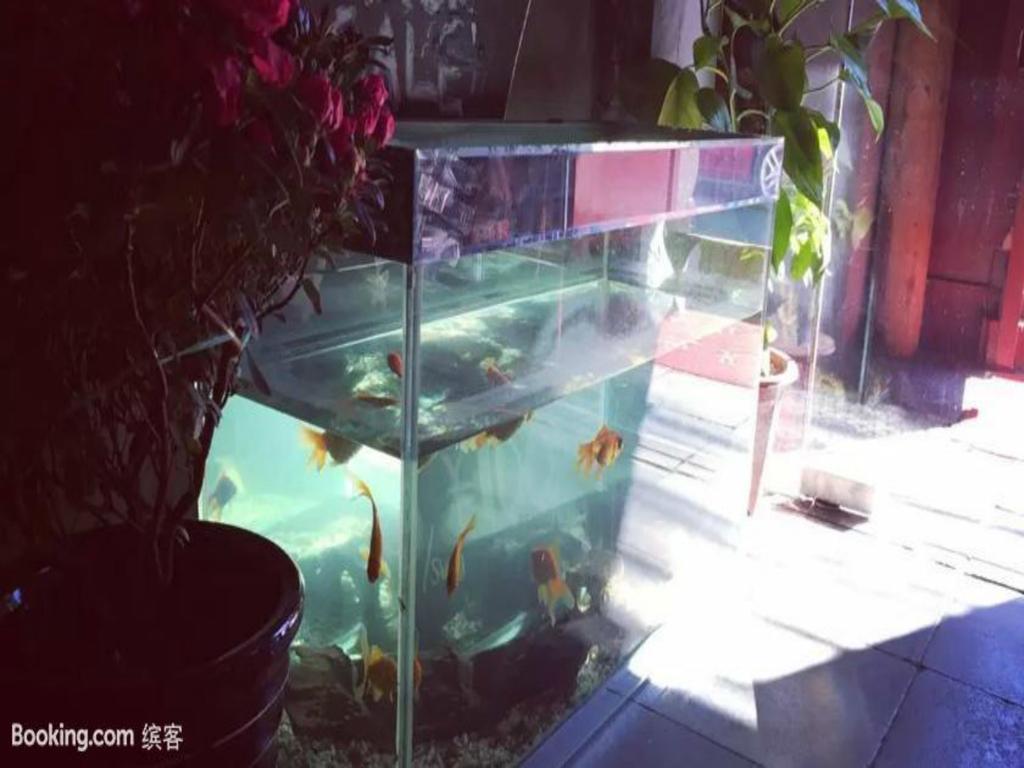 Three Legged Frog Hostel Πεκίνο Εξωτερικό φωτογραφία