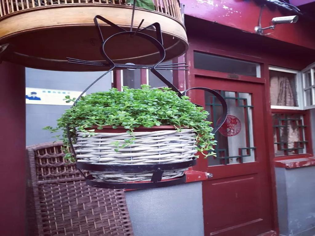 Three Legged Frog Hostel Πεκίνο Εξωτερικό φωτογραφία