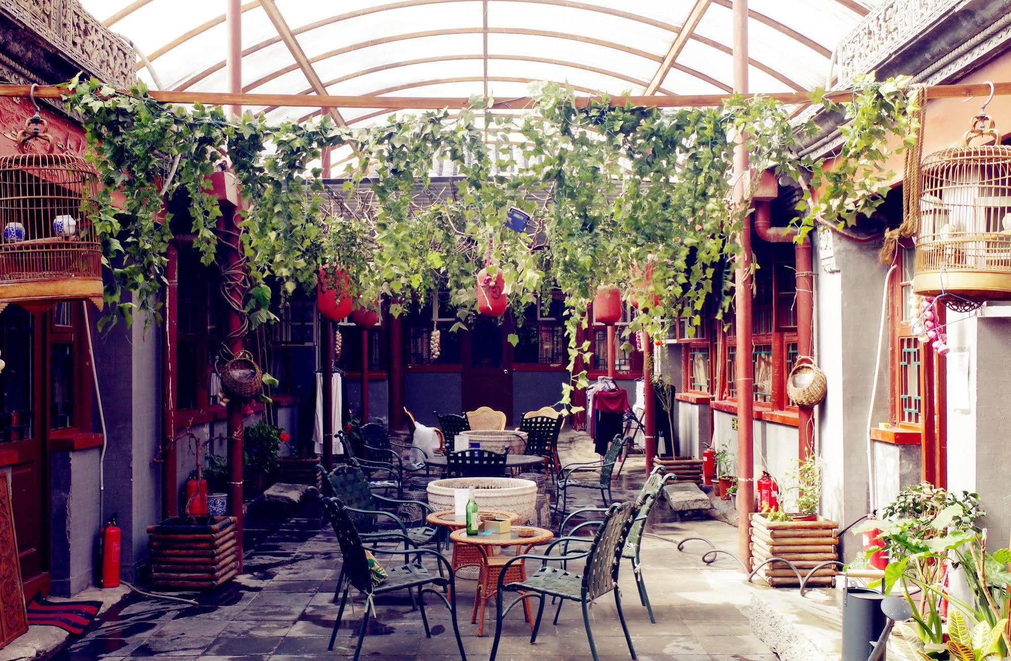 Three Legged Frog Hostel Πεκίνο Εξωτερικό φωτογραφία